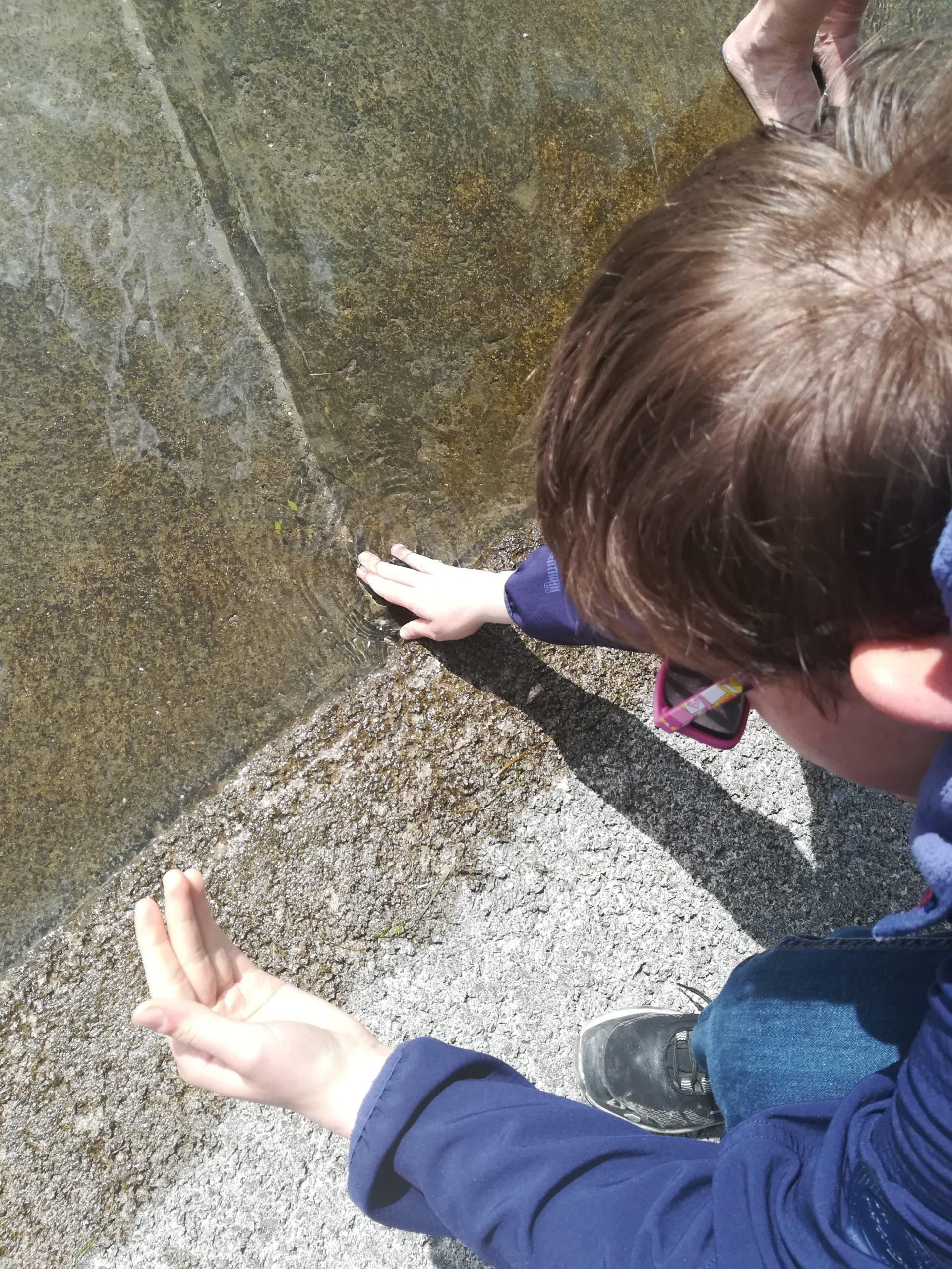 Kako ljudje z gluhoslepoto preživljajo dneve karantene, 7. del