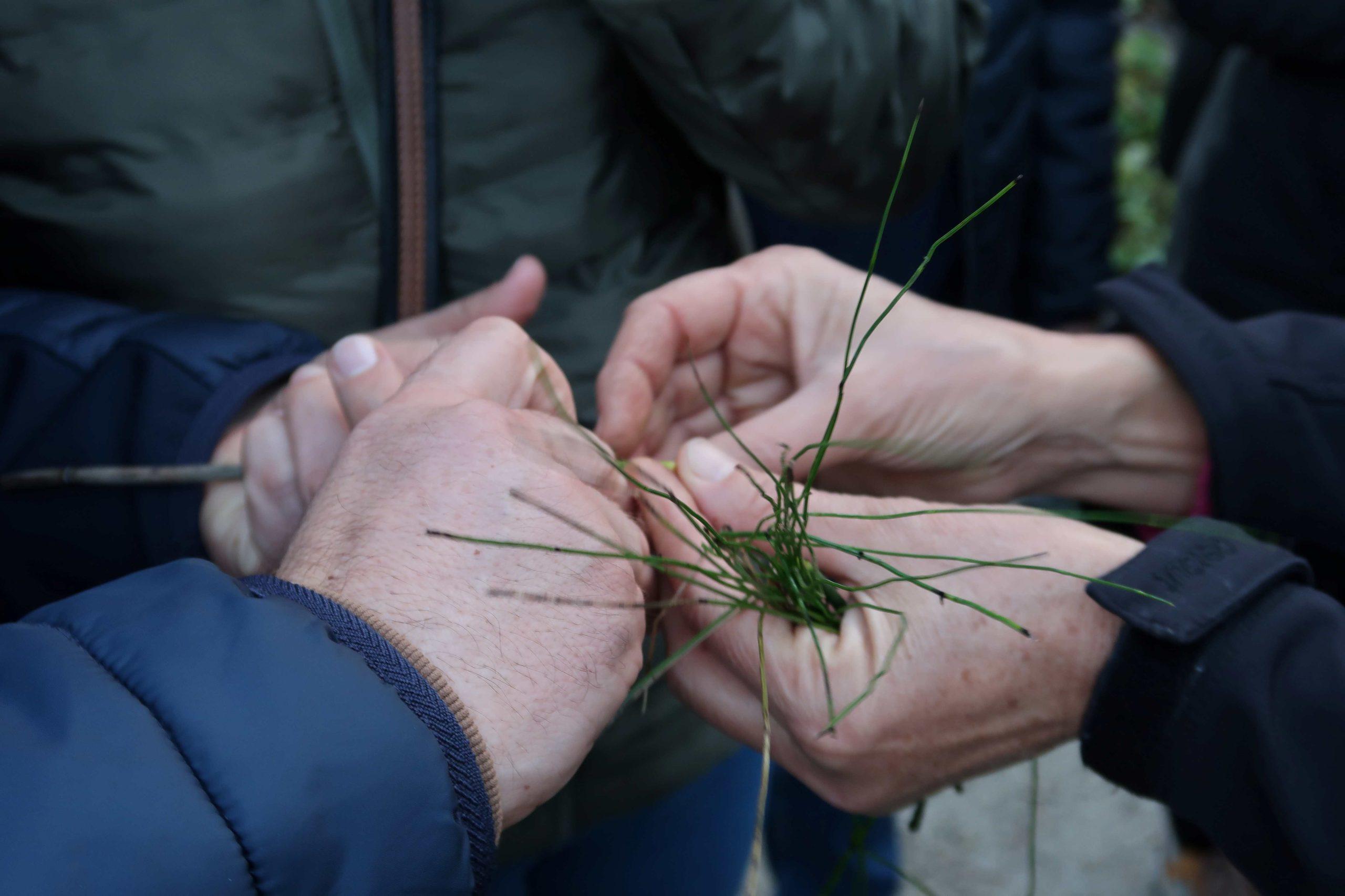mednarodni dan GS -pomanjšana
