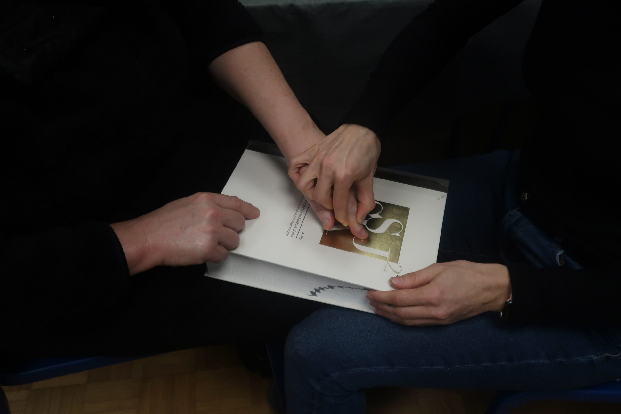 DLAN reads – Exploring the richness of the Slovene language