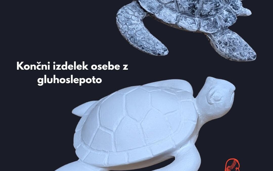 Majhni koraki, veliki dosežki skupnosti gluhoslepih